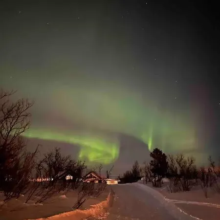 公寓 Kikut - Ski-in Ski-out *