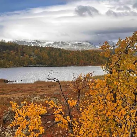 公寓 Kikut - Ski-in Ski-out *