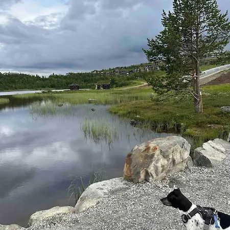 Kikut - Ski-in Ski-out 耶卢