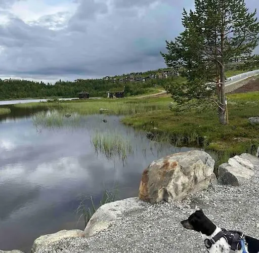 Kikut - Ski-in Ski-out Geilo